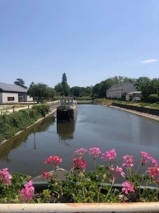 Le Domremy F2 Au Coeur D'Orleans Lägenhet Exteriör bild